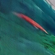 迷之自信