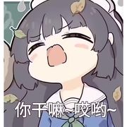 不期而遇的夏天