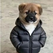 O_O