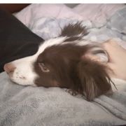 然然