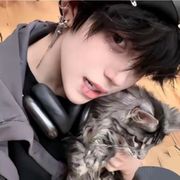 小馋猫
