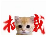 阿坤小猫在tap tap