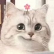 仓鼠与刺猬