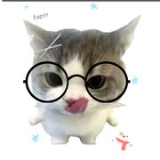 低调低调点