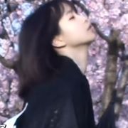 安静的豆