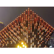 双宝已倒修仙到老