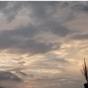 霞