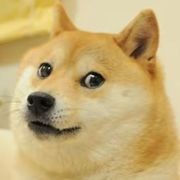 小皮