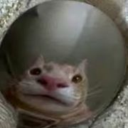 妹妹