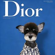 奶盖不甜不加盐