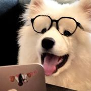 寻求他人价值