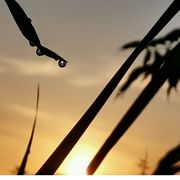 哦豁哟西瓜了嘛