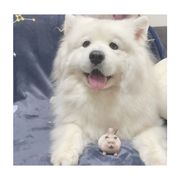 小林