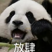 提拉米苏