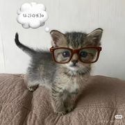 小宁