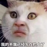 丨丨