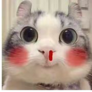 我是个宝宝