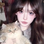 夜猫