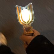 啷个浪浪