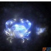 User410119321