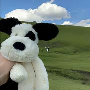 我挥衣袖带走云.