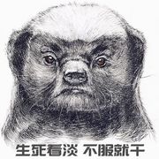 千年一遇的小赤猫