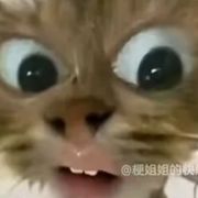 冰冷