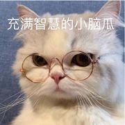 青柠不酸狐仙仙