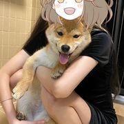 小小天