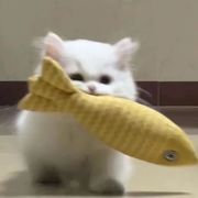 烟鱼入江南