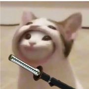 Tomamato
