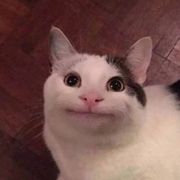 OwO