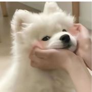 RESKI