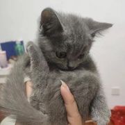 水瓶座纠结小童鞋