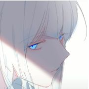 连昕
