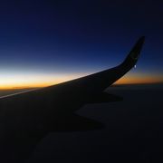 心底有棵梧桐树