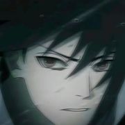 泊