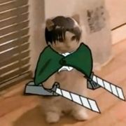 呵呵鸽鸽咳咳乐