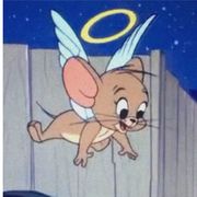鲤鱼嗨呀