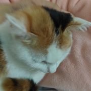 (￣o￣) . z Z