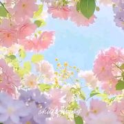 云梦泽