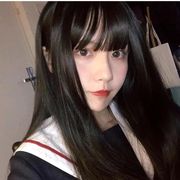 爱吃薯条的Cheems