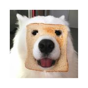 战士