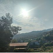 名岂文章著，官应老病休