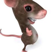 jhfvㅤㅤㅤㅤㅤㅤㅤㅤ