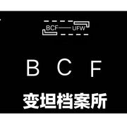 变坦档案所(所以呢你想表达啥)