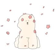 宇露