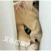 情.