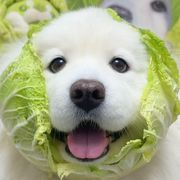 一路向阳·千俞