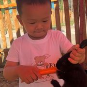 😏胖嘟嘟的大白i